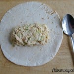 tutorial, tuna, flour tortilla, wrap