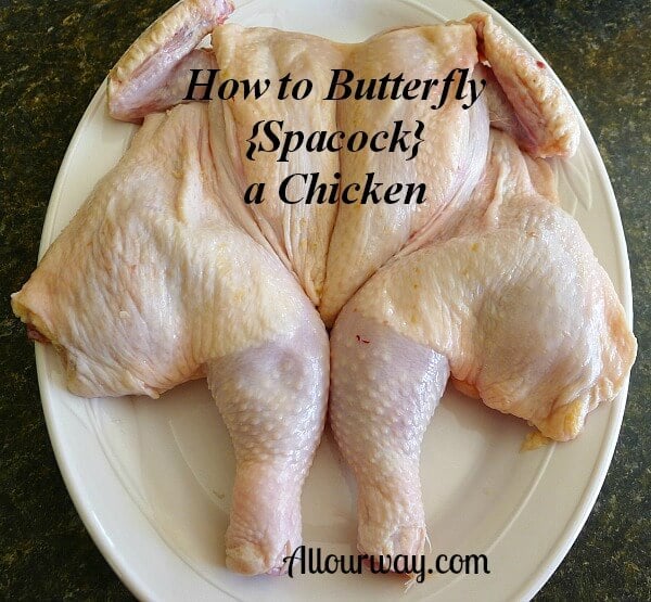 Easy Recipe Perfect How To Butterfly Chicken Breast Prudent Penny Pincher 