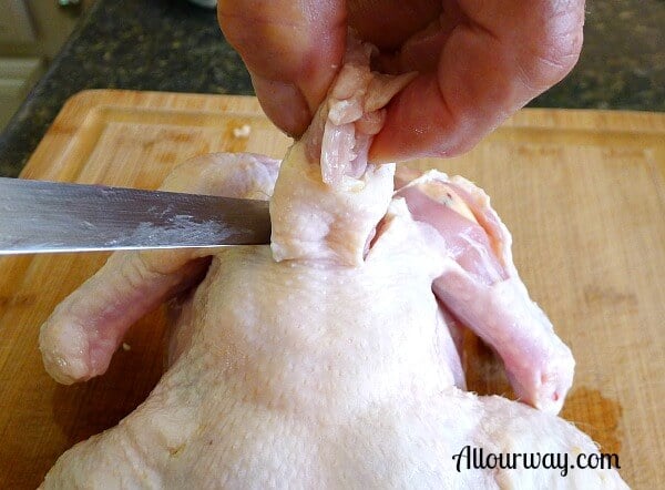 butterly, chicken, how to