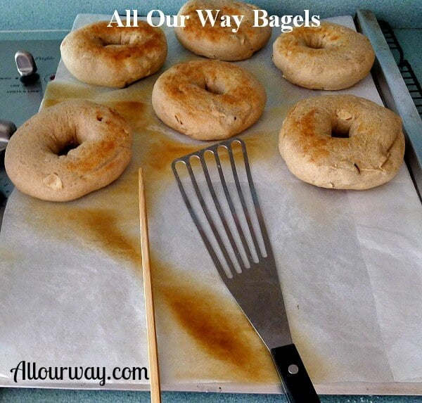 Six Browned bagels on a cookie sheet with a chop stick, slotted spatula