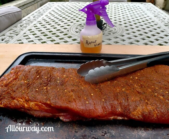 Pork Ribs Seasoned with and Ready for Smoking on the Grill at allourway.com