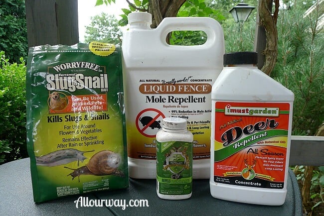 Garden Repellents we've used for moles, voles, deer, slugs at allourway.com