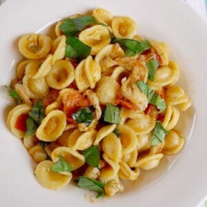 Orecchiette with Spicy Shrimp recipe in a white pasta bowl.