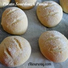 Potato Sourdough Panini Baked and Ready to Cool at allourway.com