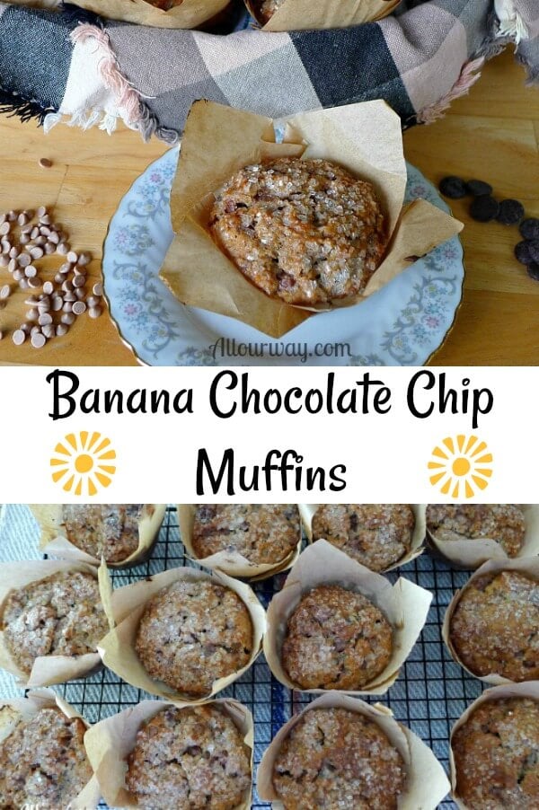 Collage of banana chocolate chip muffins that are in brown parchment paper muffin cups on photo of them on a wire rack cooling and the other is on a white china plate with dainty gray flowers around the plate and one muffin in the center. 
