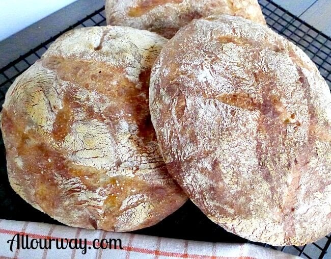 Pugliese bread a rustic Italian loaves made with durum flour @ allourway.com