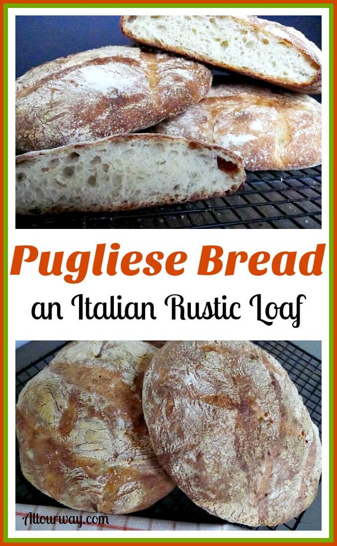 Pugliese bread a rustic Italian loaf that is delicious and chewy perfect for dunking @allourway.com