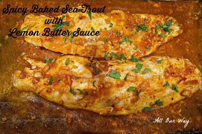 Spicy Baked Sea Trout with Lemon Butter Sauce @allourway.com