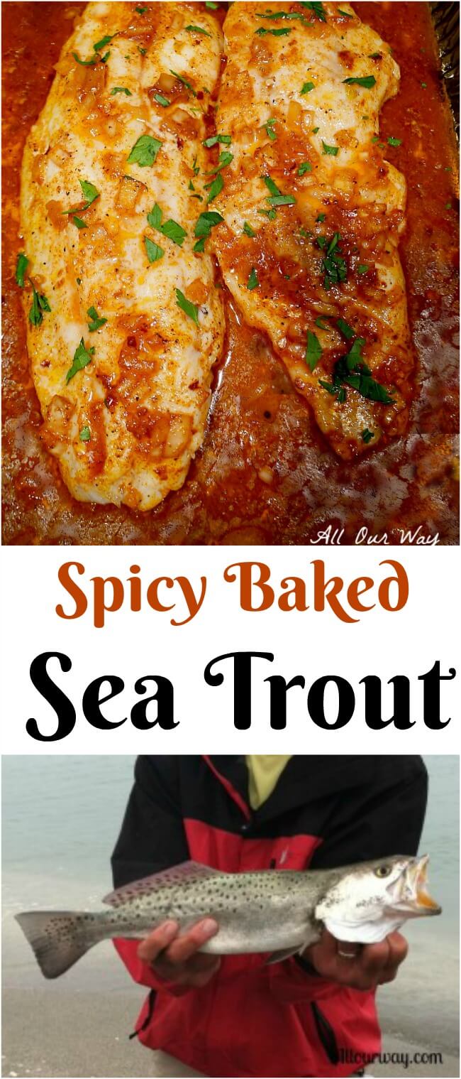 Sea Trout baked in a a spicy lemon sauce. A delicious and easy seafood dish.