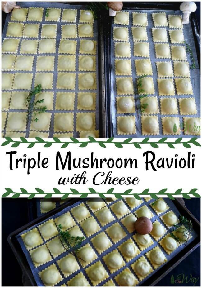 A collage with cookie sheets stacked with ravioli and spring of thyme and three mushrooms
