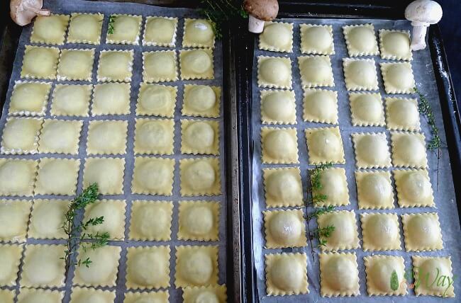 Triple Mushroom Ravioli with Cheese on Tray ready for freezing.