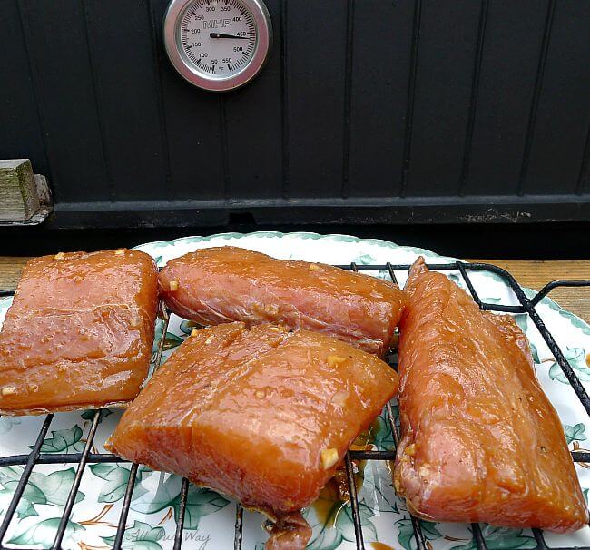 Gas grill's thermometer registering 450 degrees before putting on the four seafood fillets that are on a black wire rack on top of a white platter with green leaves. 
