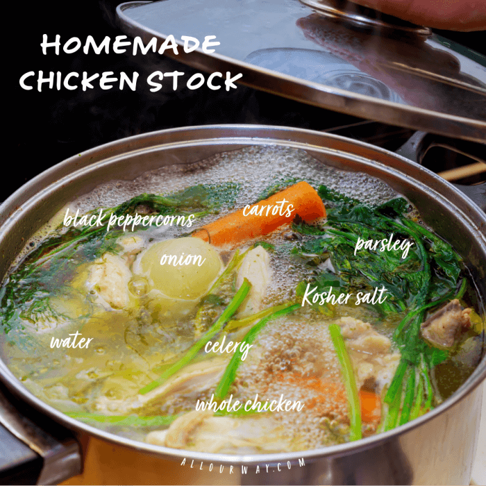 Large stock pot filled with ingredients to make chicken soup