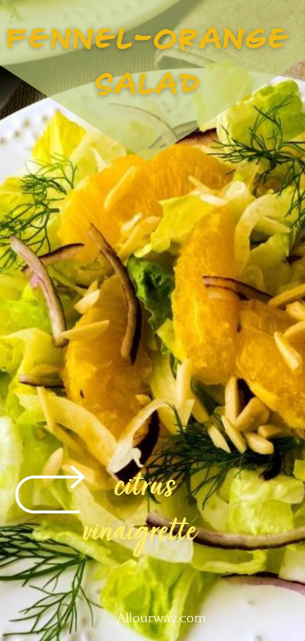 A light citrusy salad composed of shaved fennel, sweet orange segments, slivered purple onion over a bed of torn romaine leaves. Orange-Lemon vinaigrette with tarragon dresses the light citrusy salad. Tastes so fresh its a welcome side with any main dish. #fennelsalad #citrussalad #romainesalad #citrusvinaigrette