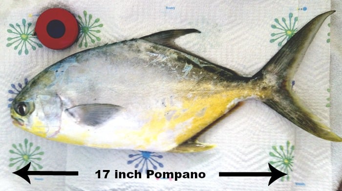 Pompano for Grilled Lime Herb Fish with Truffle Oil @allourway.com