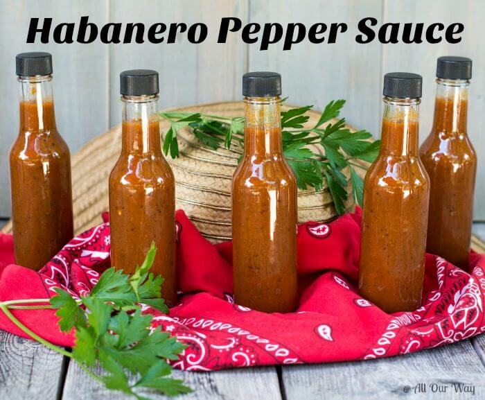 Five bottles of red Light My Fire Habanero Pepper Sauce sit on a red bandana with a straw hat and two sprigs of green parsley.