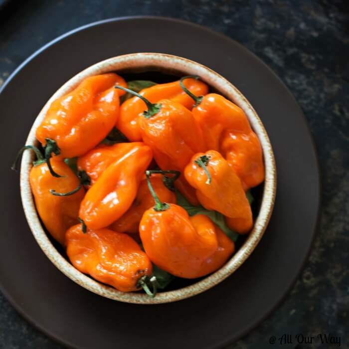 Orange habanero peppers in a brown bowl. 