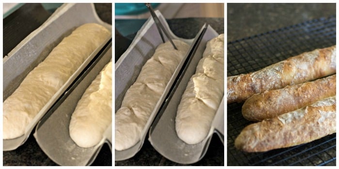 Crusty French Baguettes rising and ready to form. Easy recipe with no starter. 