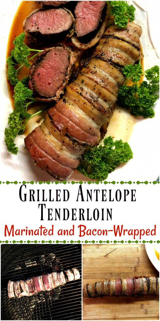 Grilled bacon-wrapped antelope tenderloin on a white plate with several meat slices and parsley surround the plate. 