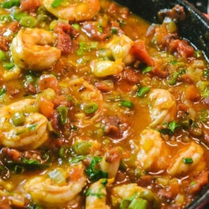 A black skillet fillet with shrimp creole with green onion sprinkled on top.