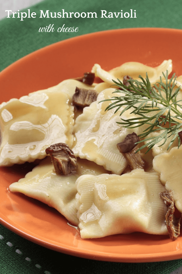 Orange bowl filled with mushroom ravioli on a green placemat. 