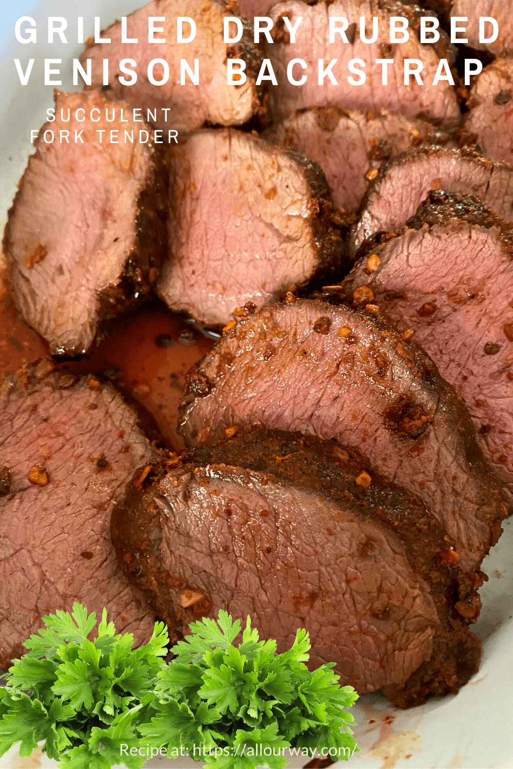 Easy Grilled Venison Backstrap