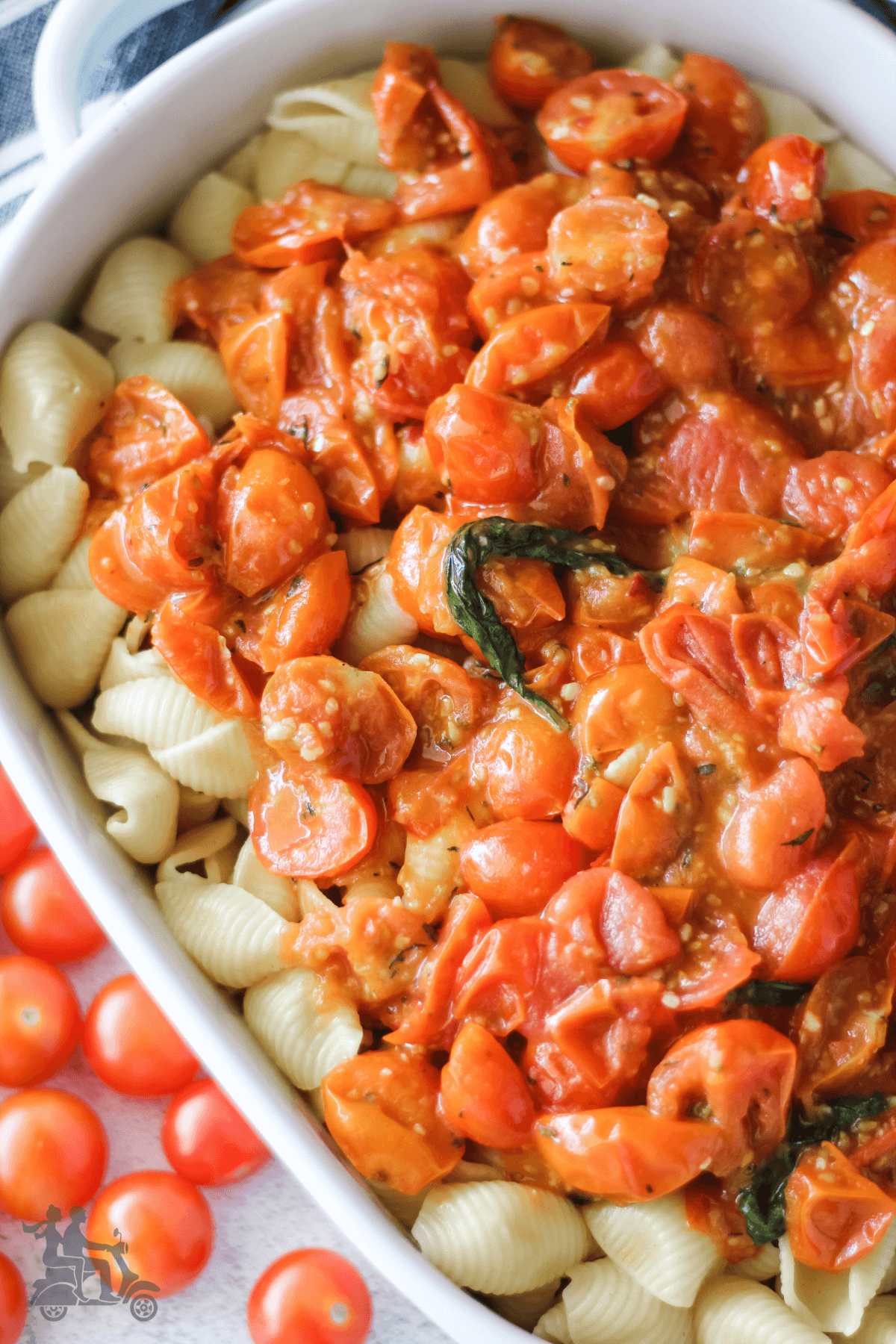 Close up or roasted cherry tomatoes over shell pasta in a white casserole. 