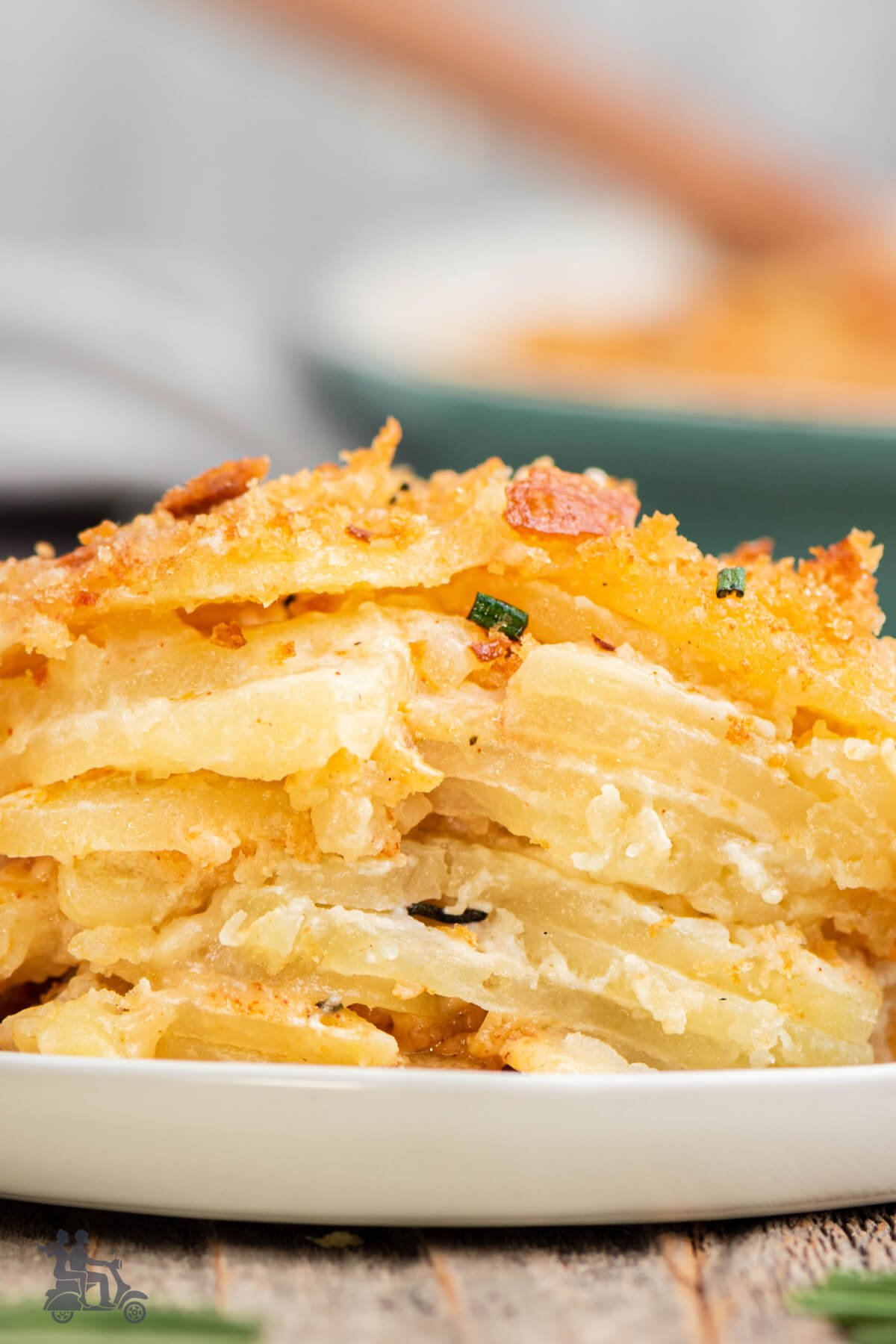 Layers of gratin potatoes on white plate. 