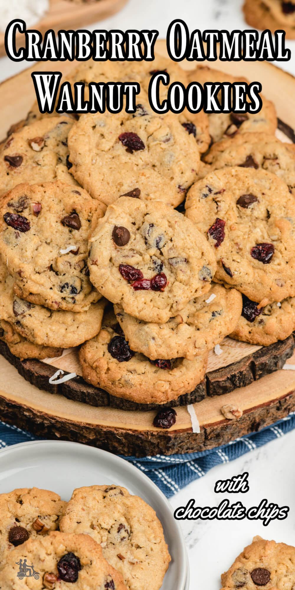 Oatmeal cookies get a holiday twist by adding cranberries to the dough instead of raisins. This 10-cup cookies has an ingredient in it that please everyone. Chocolate chips along with sweetened coconut guarantees these cookies will be devoured quickly. This Oatmeal Cranberry Cookie recipe makes lots of cookies for the family to enjoy and enough to share in a cookie exchange. They're so good you'll want to enjoy them as a breakfast treat as well as a dessert.