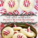 Baking for friends or a swap? These peanut butter blossoms deliver on looks + taste — and you can make the dough ahead.