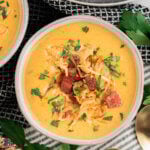 Overhead view of the Cheddar Ale Soup in a white bowl with a garnish of diced kielbasa, sauerkraut, and chopped green parsley.