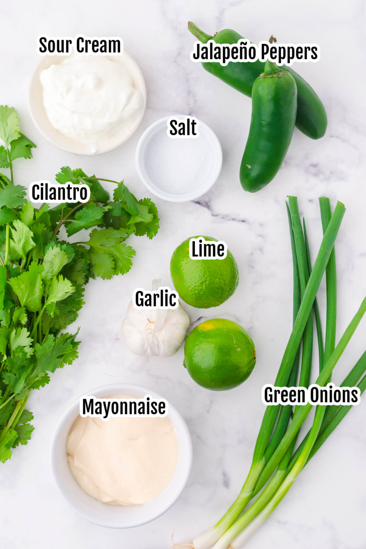 Image of the ingredients for the cilantro-lime-garlic sauce. 