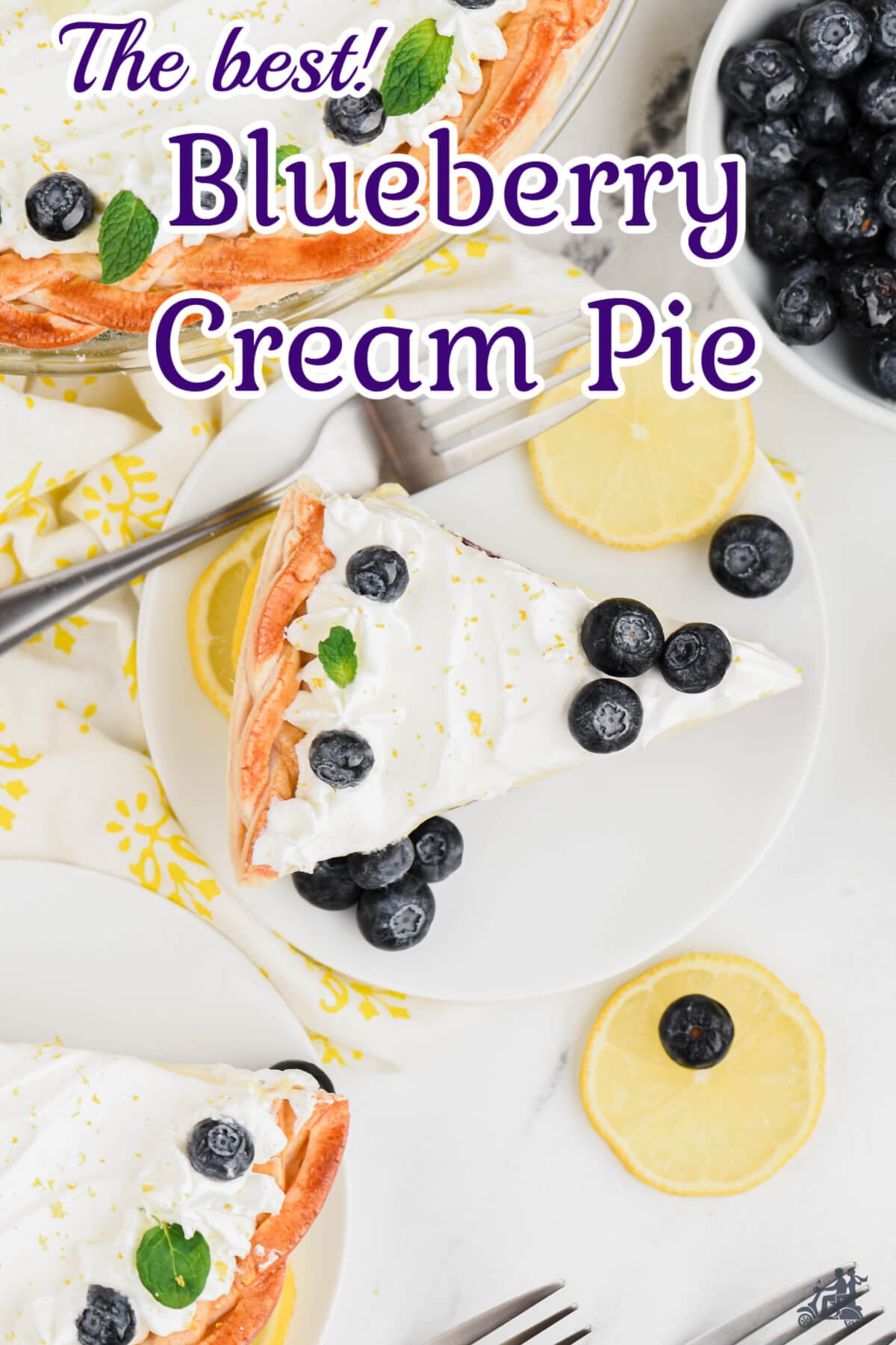 Servings of creamy blueberry pie with berries and lemon on counter. 