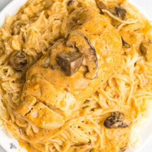 Chicken breast with mushrooms and gravy on top of angel hair pasta.