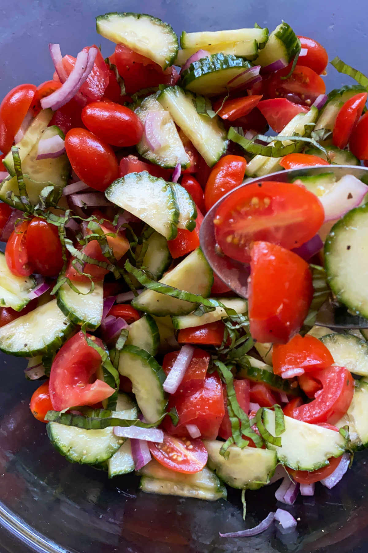 A bowl filled with a Basil Cucumber Tomato Salad. 