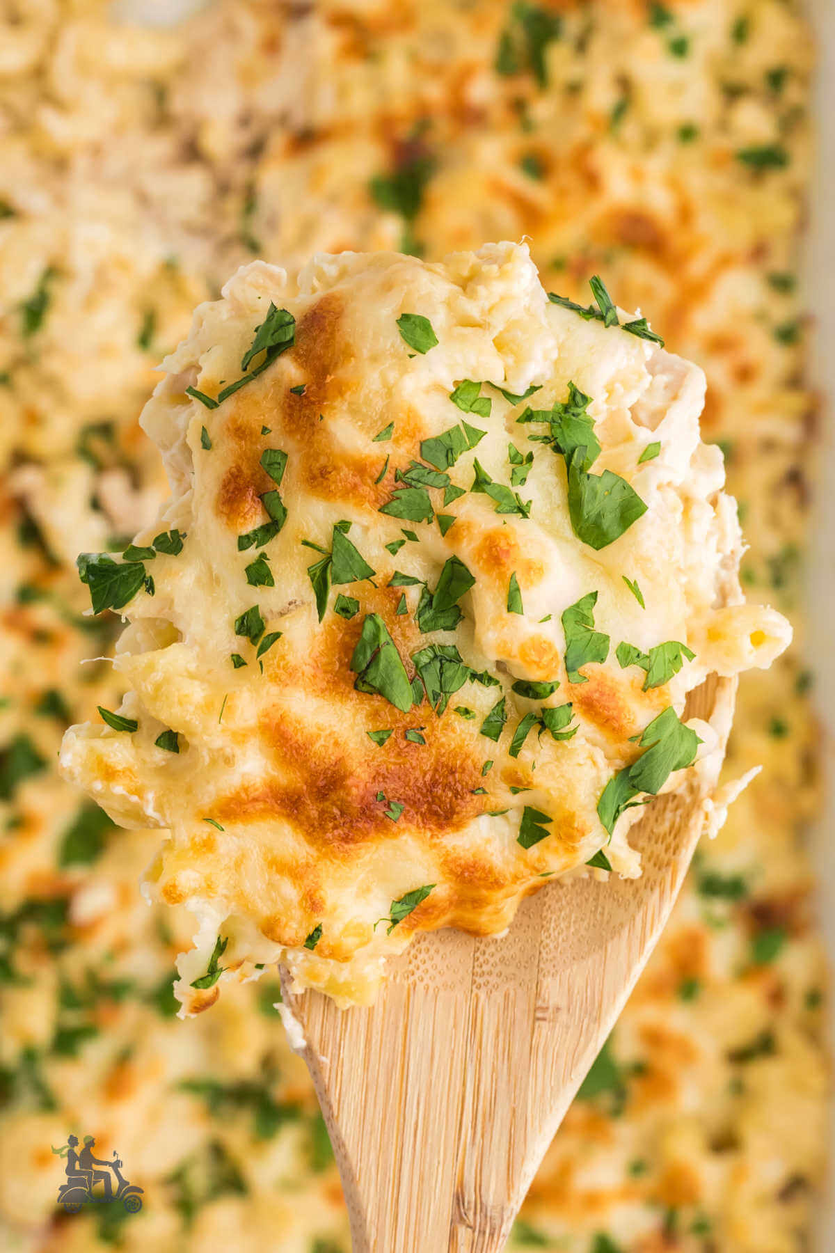 A wooden spoon holding a scoop of creamy cheesy chicken macaroni casserole. 