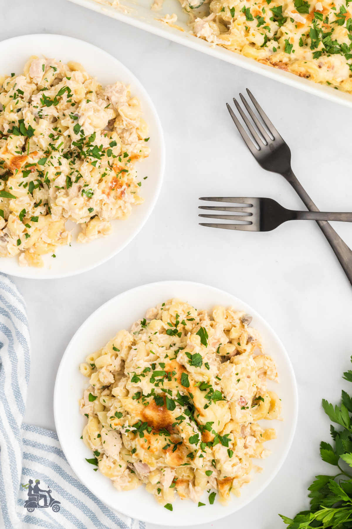 Two white plates with servings of creamy chicken and elbow macaroni casserole. 