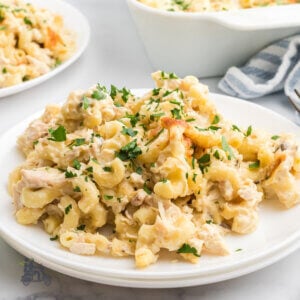 A serving of Easy Creamy Chicken Pasta Bake on a white plate.