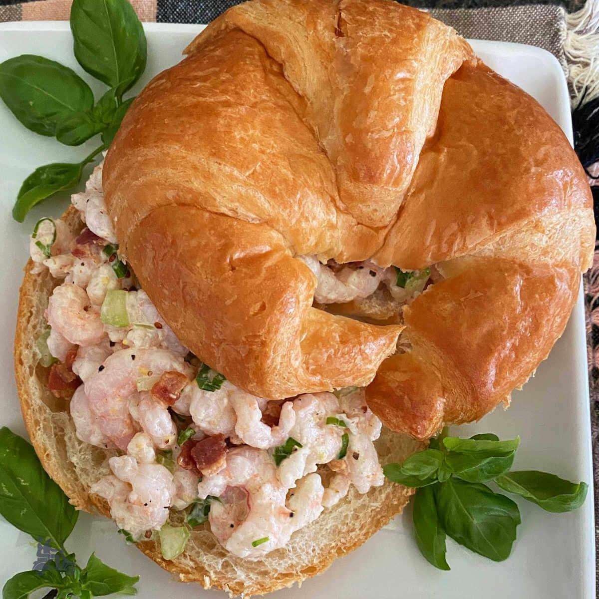 Shrimp salad on a croissant roll.