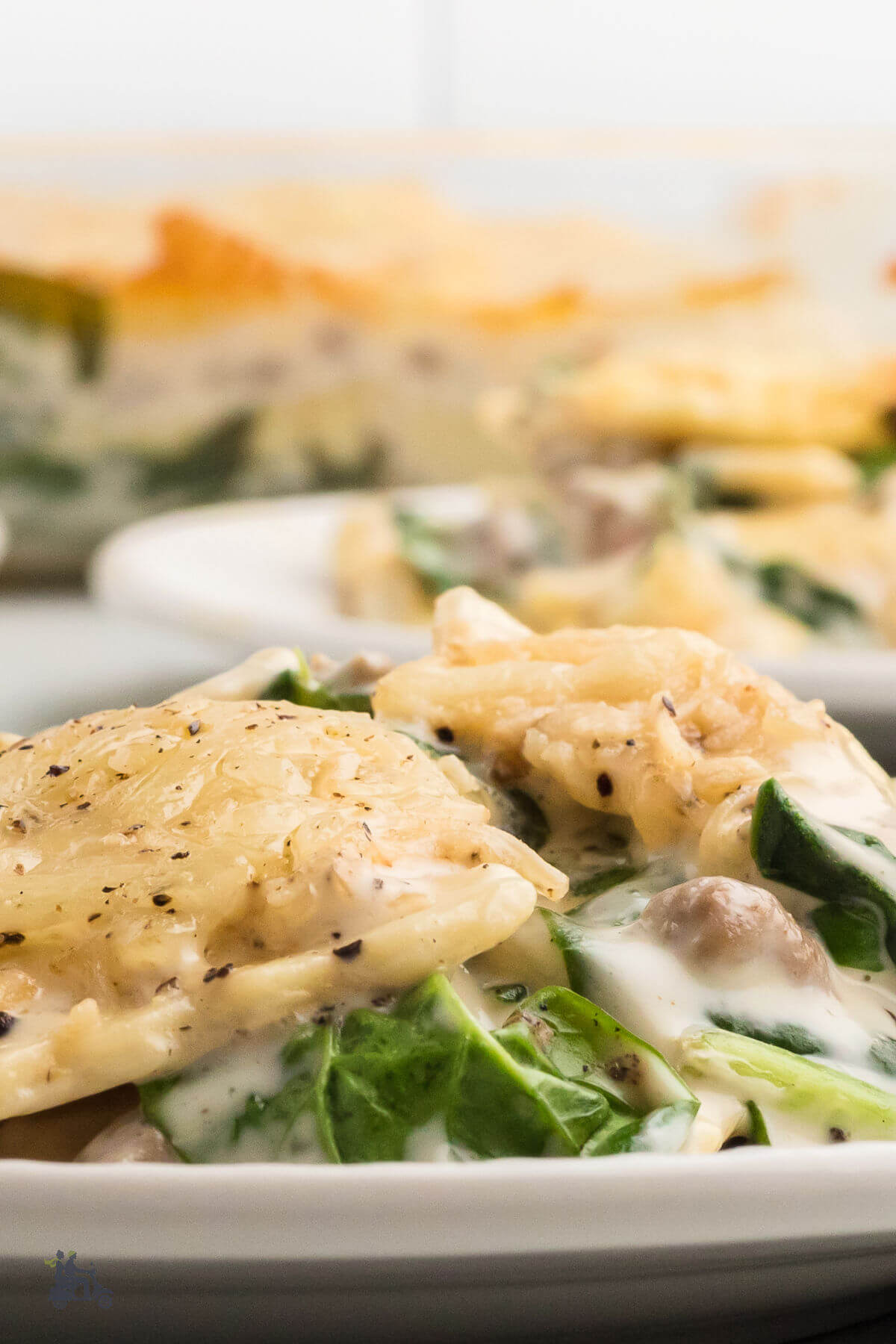 A white plate with a serving of white sauce lasagna made with cheese ravioli, baby spinach, sausage, and Alfredo sauce. 
