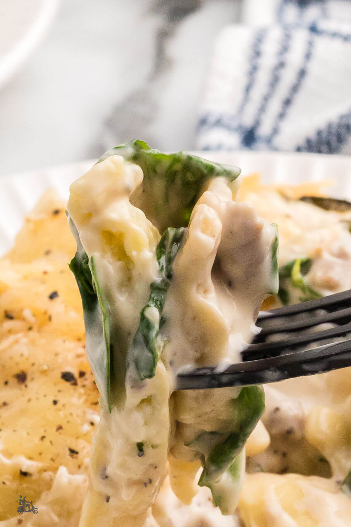 A fork holding a bite of ravioli with spinach, sausage, and covered in creamy white sauce. 