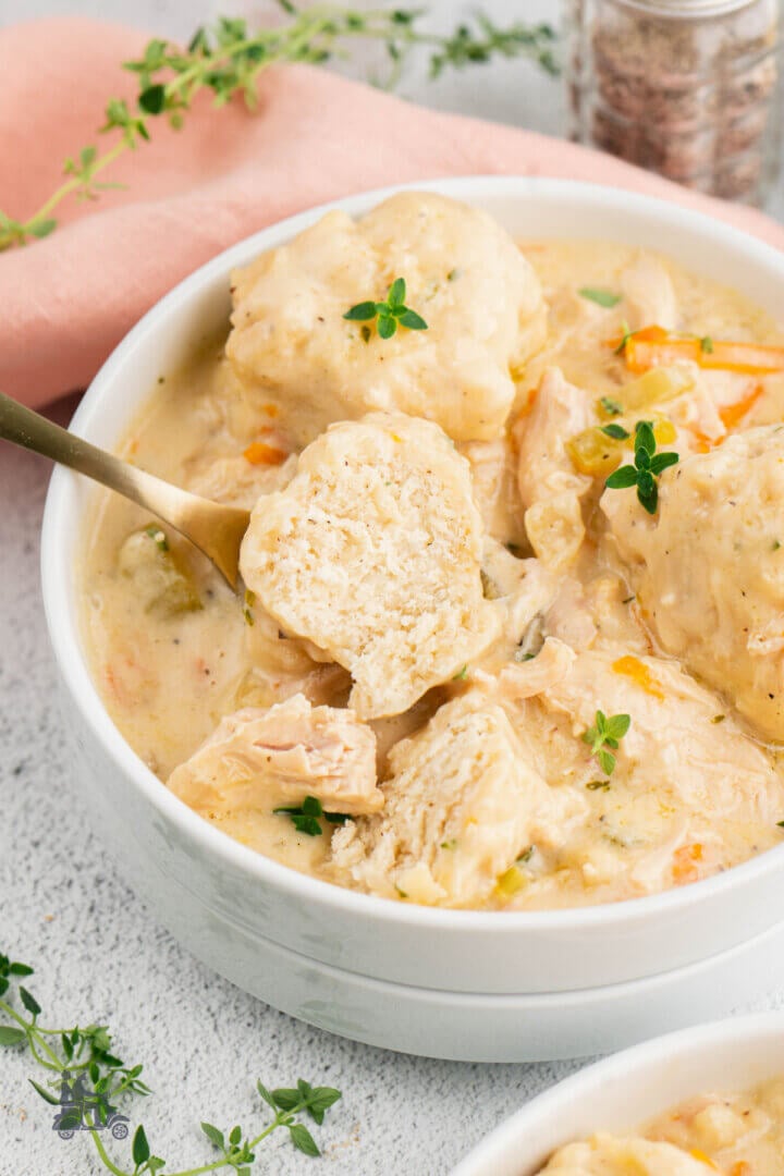 Easy Old Fashioned Homemade Chicken and Dumplings