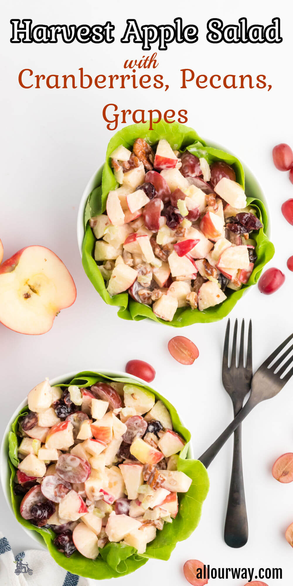 Pinterest image with title overlay for Harvest Apple Salad with Cranberries.