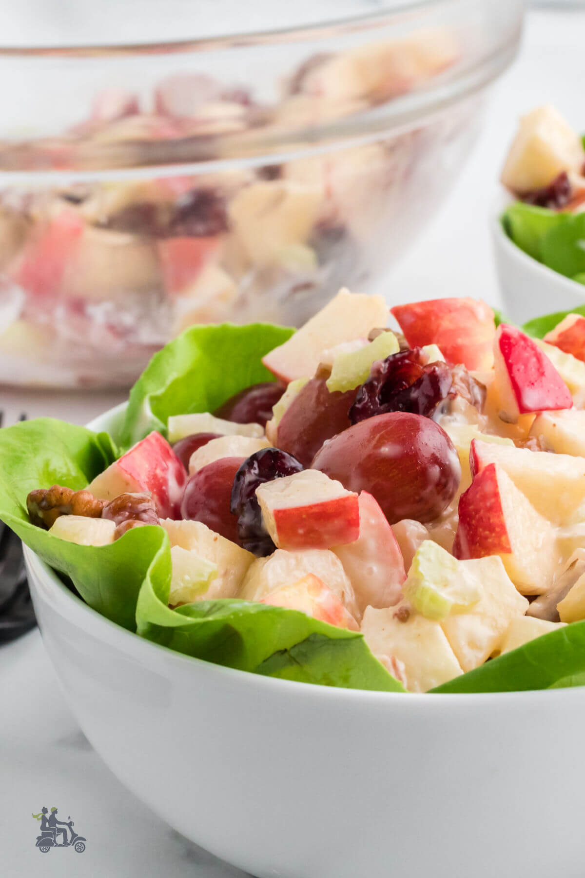 Side view of the Harvest Cranberry Apple Salad with Pecans in a lettuce lined white bowl. 