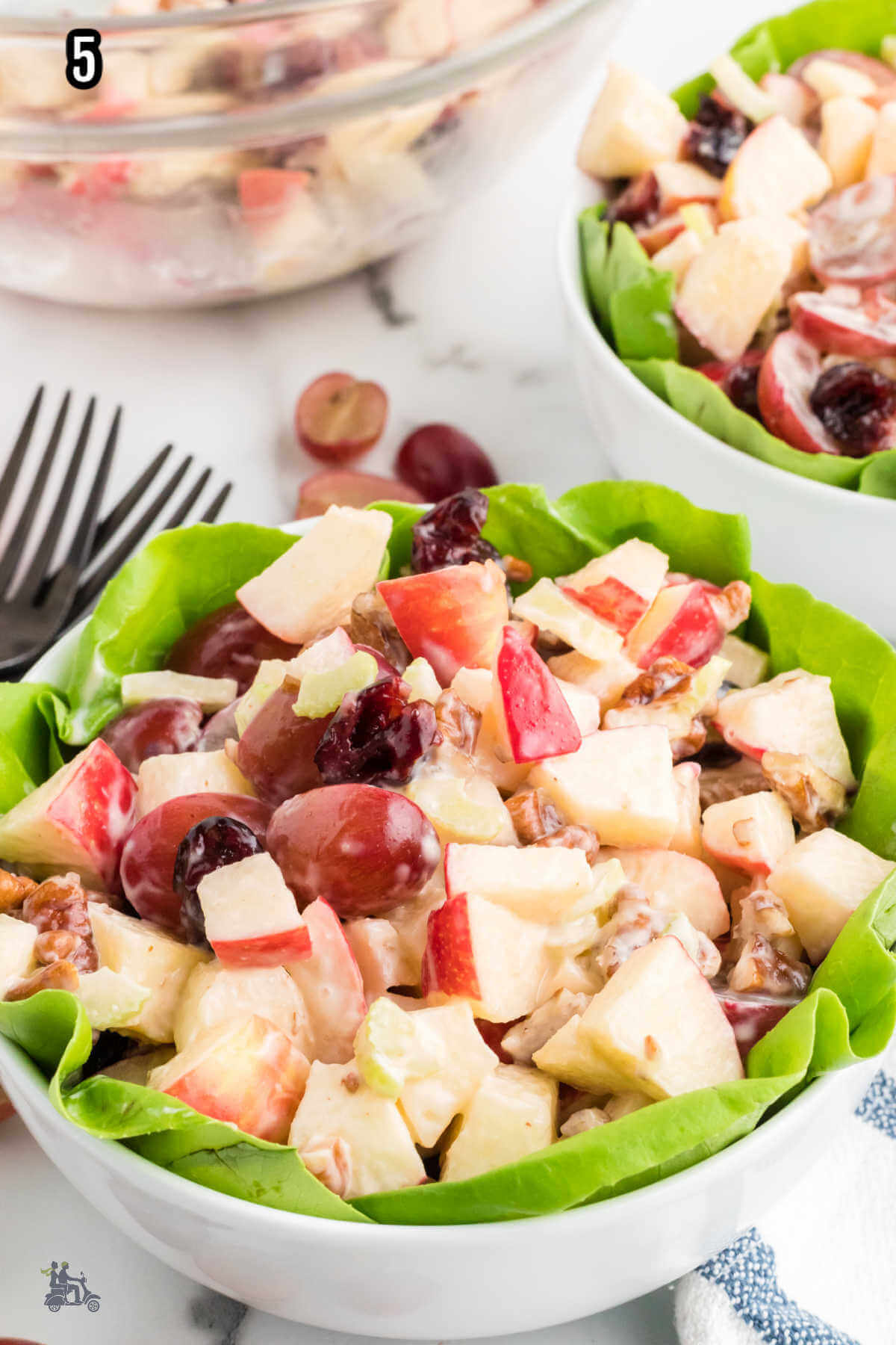 The final step to making the Autumn Apple Salad with Red Grapes is to put it in a lettuce lined bowl. 