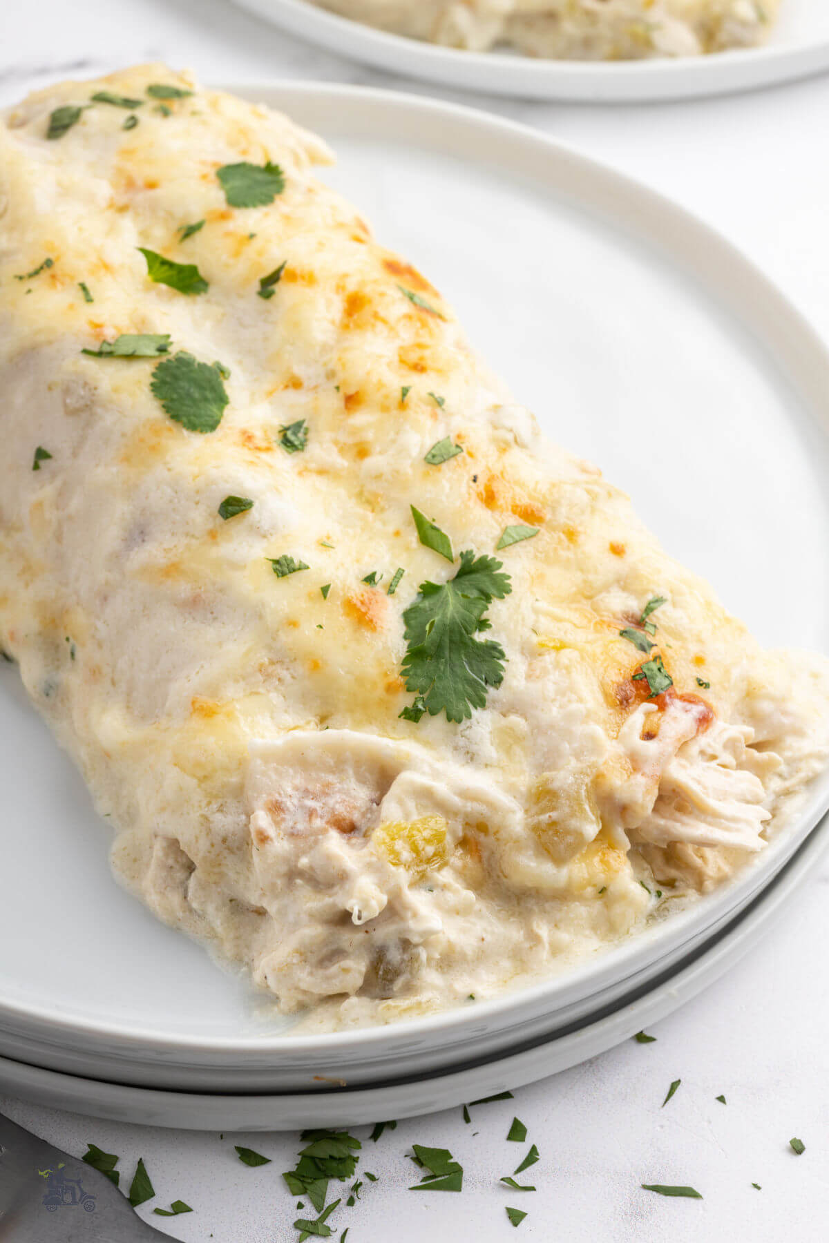 Two white sauce covered chicken enchiladas on a white plate and garnished with chopped cilantro. 