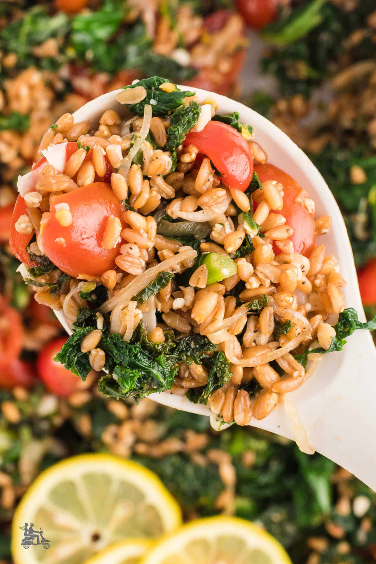 Serving spoon holding a helping of Farro Salad with Kale, tomatoes, and pecorino cheese and mixed with a lemon vinaigrette. 