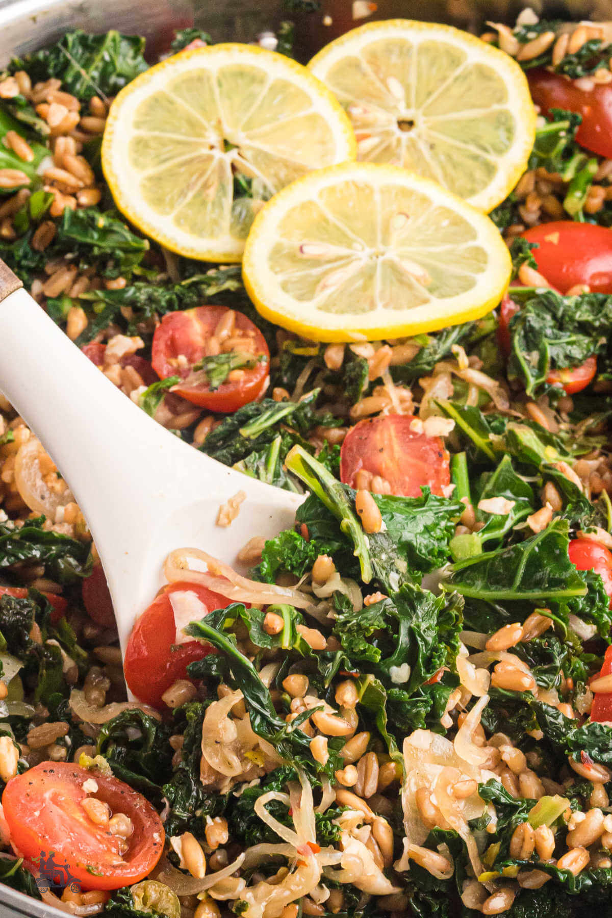 Closeup of a serving spoon in a skillet filled with warm Tuscan Farro Salad made with Kale and topped with lemon vinaigrette. 