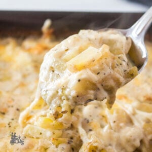 Closeup of diced potatoes baked au gratin with a spoon holding a helping.