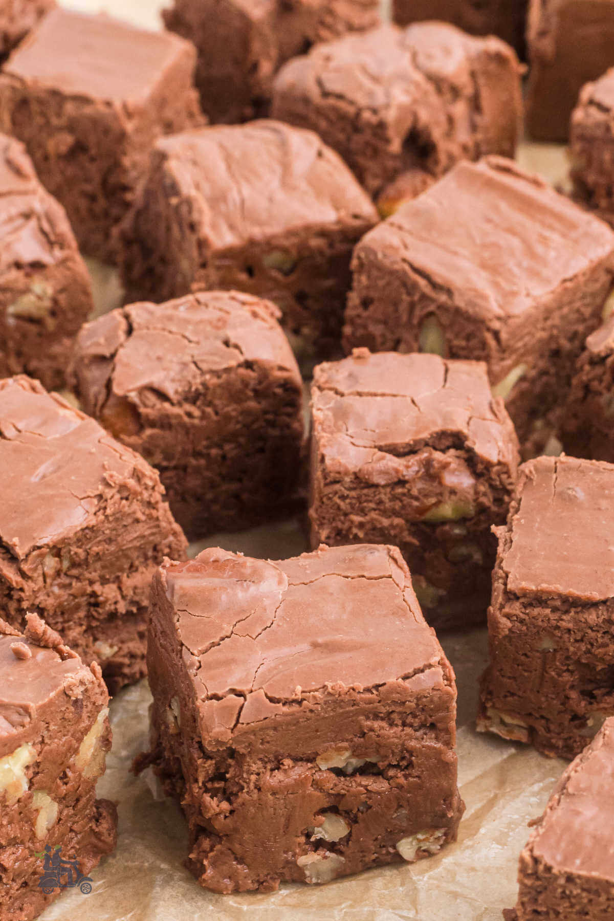 Squares of chocolate fudge on tan parchment paper. 